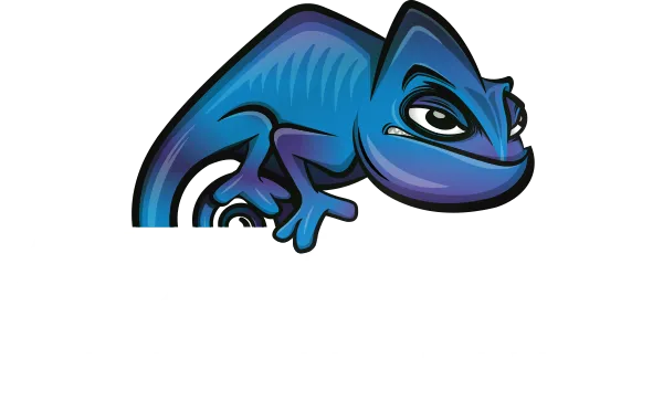 Adaptive Automotive - Creating Cars with Style